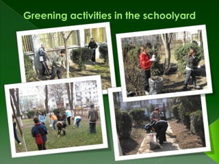 Elena Cuza School - Ecological Activities