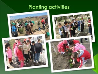 Elena Cuza School - Ecological Activities