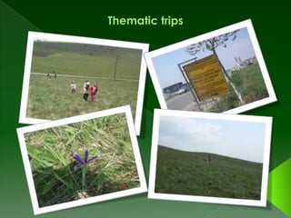 Elena Cuza School - Ecological Activities