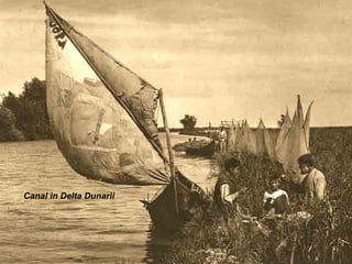 Canal in Delta Dunarii
 
