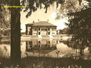 Castelul Mogosoaia
 