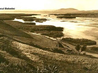 acul Babadac
 