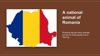 A national
animal of
Romania
Romania has got many animals
but one fo most popular one is
The Pig
 