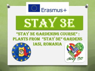 “Stay 3E gardening courSe” :
plants from “Stay 3e” gardenS
IASI, ROMANIA
 
