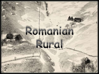 Romanian Rural  