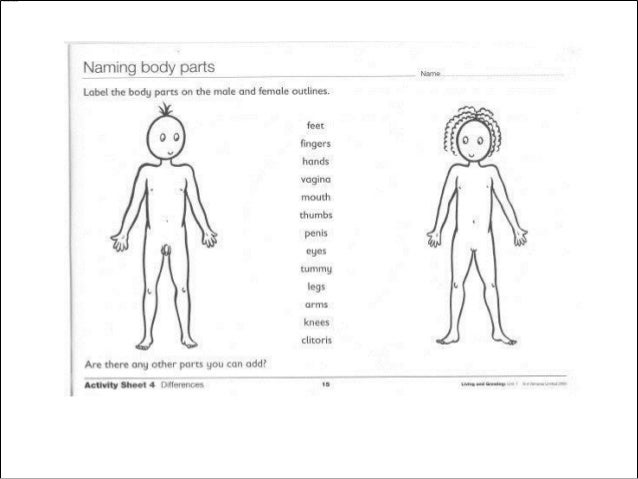 body parts sex ed body parts sex ed