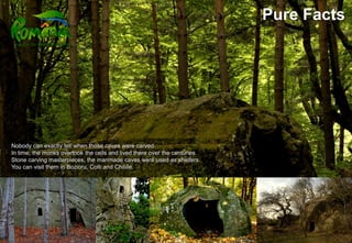 Pure Facts




Nobody can exactly tell when those caves were carved.
In time, the monks overtook the cells and lived there over the centuries.
Stone carving masterpieces, the manmade caves were used as shelters.
You can visit them in Bozioru, Colti and Chiliile.
 