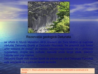 Rezervaţia geologică Detunata
se aflată în Munţii Metaliferi (M-ţii Apuseni din Ţara Moţilor) şi cuprinde
vârfurile Detunata Goală şi Detunata Flocoasă. Se prezintă sub forma
unor coloane de bazalt* de culoare cenuşiu-negricioasă, de o uimitoare
regulatitate, drepte sau curbate, aşezate unele lângă altele, precum
tuburile unei orgi imense.
Detunata Goală este parţial lipsită de pădure pe când Detunata Flocoasă
este acoperită de o pădure deasă de molid.
*BAZALT = Rocă vulcanică de culoare închisă, întrebuinţată la construcţii i laș
pavaje
 