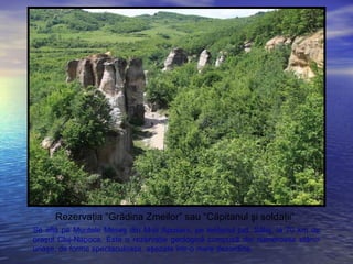 Rezervaţia “Grădina Zmeilor” sau “Căpitanul şi soldaţii”
Se află pe Muntele Meseş din M-ţii Apuseni, pe teritoriul jud. Sălaj, la 70 km de
oraşul Cluj-Napoca. Este o rezervaţie geologică compusă din numeroase stânci
uriaşe, de forme spectaculoase, aşezate într-o mare dezordine.
 