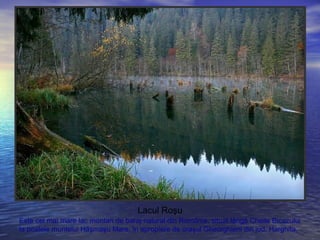 Lacul Roşu
Este cel mai mare lac montan de baraj natural din România, situat lângă Cheile Bicazului
la poalele muntelui Hăşmaşu Mare, în apropiere de oraşul Gheorghieni din jud. Harghita.
 