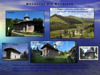 Moldoviţa
Voroneţ
Humor
Arbore
Putna – ctitoria lui Ştefan cel Mare
(aici se află mormântul domnitorului)
M ă n ă s t i r i d i n B u c o v i n a
Unice în lume pentru picturile exterioare de o înaltă calitate artistică, picturi
păstrate până în zilele noastre. Sunt renumite culorile: Albastrul de Voroneţ,
Roşul de Humor şi Verdele de Arbore.
 