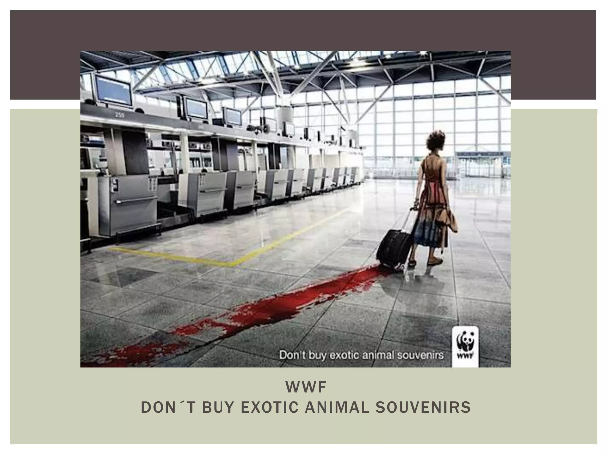 WWF 
DON´T BUY EXOTIC ANIMAL SOUVENIRS 
 