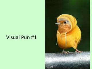 Visual Pun #1
 