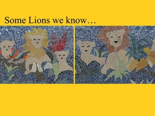 Some Lions we know… 