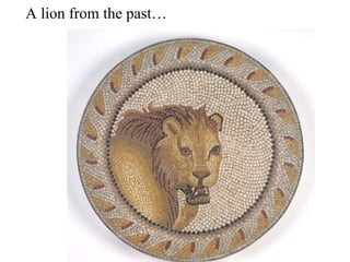 A lion from the past… 