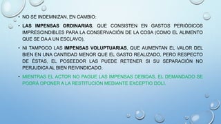 • NO SE INDEMNIZAN, EN CAMBIO:
• LAS IMPENSAS ORDINARIAS, QUE CONSISTEN EN GASTOS PERIÓDICOS
IMPRESCINDIBLES PARA LA CONSERVACIÓN DE LA COSA (COMO EL ALIMENTO
QUE SE DA A UN ESCLAVO),
• NI TAMPOCO LAS IMPENSAS VOLUPTUARIAS, QUE AUMENTAN EL VALOR DEL
BIEN EN UNA CANTIDAD MENOR QUE EL GASTO REALIZADO, PERO RESPECTO
DE ÉSTAS, EL POSEEDOR LAS PUEDE RETENER SI SU SEPARACIÓN NO
PERJUDICA AL BIEN REIVINDICADO.
• MIENTRAS EL ACTOR NO PAGUE LAS IMPENSAS DEBIDAS, EL DEMANDADO SE
PODRÁ OPONER A LA RESTITUCIÓN MEDIANTE EXCEPTIO DOLI.
 