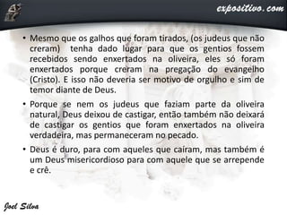 • Mesmo que os galhos que foram tirados, (os judeus que não
creram) tenha dado lugar para que os gentios fossem
recebidos sendo enxertados na oliveira, eles só foram
enxertados porque creram na pregação do evangelho
(Cristo). E isso não deveria ser motivo de orgulho e sim de
temor diante de Deus.
• Porque se nem os judeus que faziam parte da oliveira
natural, Deus deixou de castigar, então também não deixará
de castigar os gentios que foram enxertados na oliveira
verdadeira, mas permaneceram no pecado.
• Deus é duro, para com aqueles que caíram, mas também é
um Deus misericordioso para com aquele que se arrepende
e crê.
 