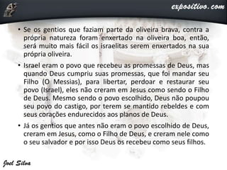 • Se os gentios que faziam parte da oliveira brava, contra a
própria natureza foram enxertado na oliveira boa, então,
será muito mais fácil os israelitas serem enxertados na sua
própria oliveira.
• Israel eram o povo que recebeu as promessas de Deus, mas
quando Deus cumpriu suas promessas, que foi mandar seu
Filho (O Messias), para libertar, perdoar e restaurar seu
povo (Israel), eles não creram em Jesus como sendo o Filho
de Deus. Mesmo sendo o povo escolhido, Deus não poupou
seu povo do castigo, por terem se mantido rebeldes e com
seus corações endurecidos aos planos de Deus.
• Já os gentios que antes não eram o povo escolhido de Deus,
creram em Jesus, como o Filho de Deus, e creram nele como
o seu salvador e por isso Deus os recebeu como seus filhos.
 