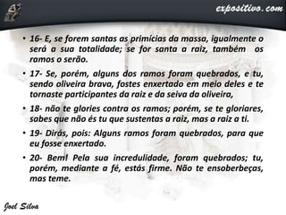 • 16- E, se forem santas as primícias da massa, igualmente o
será a sua totalidade; se for santa a raiz, também os
ramos o serão.
• 17- Se, porém, alguns dos ramos foram quebrados, e tu,
sendo oliveira brava, fostes enxertado em meio deles e te
tornaste participantes da raiz e da seiva da oliveira,
• 18- não te glories contra os ramos; porém, se te gloriares,
sabes que não és tu que sustentas a raiz, mas a raiz a ti.
• 19- Dirás, pois: Alguns ramos foram quebrados, para que
eu fosse enxertado.
• 20- Bem! Pela sua incredulidade, foram quebrados; tu,
porém, mediante a fé, estás firme. Não te ensoberbeças,
mas teme.
 