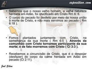 • Sabemos que o nosso velho homem, a velha natureza
herdada em Adão, foi crucificado em Cristo Rm 6: 6.
• O corpo do pecado foi desfeito por meio da nossa união
à morte de Cristo, e não mais servimos ao pecado ( Rm
6:18 ).
• Fomos plantados juntamente com Cristo, na
semelhança da sua morte ( Rm 6:5 ). Através da
comunhão com Cristo tornamos participante da sua
morte, e de fato morremos com Cristo ( Cl 3:3 ).
• Recebemos a circuncisão de Cristo, que é o despojar
(desfazer) do corpo da carne herdada em Adão em
pecado (Cl 2:11).
 