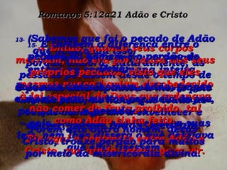 Romanos 5:12a21 Adão e Cristo 12-  Quando Adão pecou, o pecado entrou na raça humana inteira. O pecado dele espalhou a morte pelo mundo todo, de modo que todas as coisas começaram a envelhecer e morrer, porque  todos pecaram . 13-  (Sabemos que foi o pecado de Adão que ocasionou isso)  porque embora, naturalmente, as pessoas pecassem desde o tempo de Adão até Moisés, Deus não as julgou culpadas de morte, naqueles tempos, por quebrarem suas leis  – pois Ele ainda não lhes dera suas leis, nem lhes dissera o que desejava que elas fizessem. 14-  Então, quando seus corpos morriam, não era por causa dos seus próprios pecados, visto que eles mesmos nunca haviam desobedecido à lei especial de Deus que ordenava não comer do fruto proibido, tal como Adão tinha feito. Eis aqui o contraste entre Adão e Cristo, que ainda estava para vir. 15-  E também a diferença entre o pecado do homem e o perdão de Deus: Pois este único homem, Adão, trouxe a morte para muitos por meio do seu pecado. Porém este outro homem, Jesus Cristo, trouxe perdão para muitos por meio da misericórdia divina. 