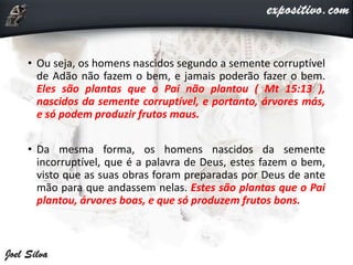 • Ou seja, os homens nascidos segundo a semente corruptível
de Adão não fazem o bem, e jamais poderão fazer o bem.
Eles são plantas que o Pai não plantou ( Mt 15:13 ),
nascidos da semente corruptível, e portanto, árvores más,
e só podem produzir frutos maus.
• Da mesma forma, os homens nascidos da semente
incorruptível, que é a palavra de Deus, estes fazem o bem,
visto que as suas obras foram preparadas por Deus de ante
mão para que andassem nelas. Estes são plantas que o Pai
plantou, árvores boas, e que só produzem frutos bons.
 