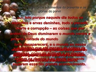 18-  Contudo, aquilo que sofremos agora é insignificante, se compararmos com a glória que Ele nos dará mais tarde. Romanos 8:18a25 Os sofrimentos do presente e as glórias do porvir 19-  Toda a criação espera com paciência e esperança por aquele dia futuro quando Deus ressuscitará os seus filhos. 20e21-  Isto porque naquele dia todos os espinhos e ervas daninhas, todo o pecado, morte e corrupção – as coisas que por ordem de Deus dominaram o mundo contra a própria vontade do mundo  – tudo desaparecerá, e o mundo ao nosso redor participará da gloriosa liberdade do pecado que os filhos de Deus desfrutam. 22-  Sabemos que até mesmo as coisas da natureza, como os animais e as plantas, sofrem na doença e na morte enquanto esperam esse tão grande acontecimento. 