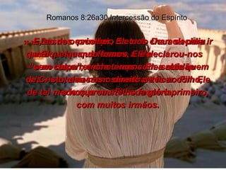 29-  Desde o princípio de tudo Deus decidiu que aqueles que fossem a Ele  – e no decorrer dos tempos Ele sabia quem iria – se tornassem semelhantes ao Filho,  de tal modo que seu Filho fosse o primeiro, com muitos irmãos. Romanos 8:26a30 Intercessão do Espírito 30-  E, ao nos escolher, Ele nos chamou para ir a Ele; e quando fomos, Ele declarou-nos “sem culpa”, encheu-nos com a retidão  de Cristo, deu-nos o direito de ficar com Ele e nos prometeu sua glória. 