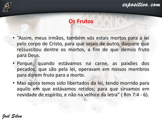 Os Frutos
• “Assim, meus irmãos, também vós estais mortos para a lei
pelo corpo de Cristo, para que sejais de outro, daquele que
ressuscitou dentre os mortos, a fim de que demos fruto
para Deus.
• Porque, quando estávamos na carne, as paixões dos
pecados, que são pela lei, operavam em nossos membros
para darem fruto para a morte.
• Mas agora temos sido libertados da lei, tendo morrido para
aquilo em que estávamos retidos; para que sirvamos em
novidade de espírito, e não na velhice da letra” ( Rm 7:4 - 6).
 