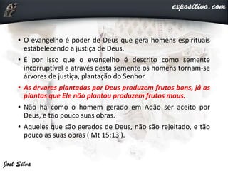 • O evangelho é poder de Deus que gera homens espirituais
estabelecendo a justiça de Deus.
• É por isso que o evangelho é descrito como semente
incorruptível e através desta semente os homens tornam-se
árvores de justiça, plantação do Senhor.
• As árvores plantadas por Deus produzem frutos bons, já as
plantas que Ele não plantou produzem frutos maus.
• Não há como o homem gerado em Adão ser aceito por
Deus, e tão pouco suas obras.
• Aqueles que são gerados de Deus, não são rejeitado, e tão
pouco as suas obras ( Mt 15:13 ).
 