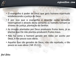 • O evangelho é poder de Deus que gera homens espirituais
estabelecendo a justiça de Deus.
• É por isso que o evangelho é descrito como semente
incorruptível e através desta semente os homens tornam-se
árvores de justiça, plantação do Senhor.
• As árvores plantadas por Deus produzem frutos bons, já as
plantas que Ele não plantou produzem frutos maus.
• Não há como o homem gerado em Adão ser aceito por
Deus, e tão pouco suas obras.
• Aqueles que são gerados de Deus, não são rejeitado, e tão
pouco as suas obras ( Mt 15:13 ).
 