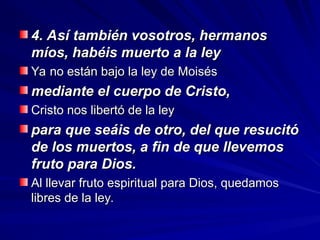 4. Así también vosotros, hermanos
4. Así también vosotros, hermanos
míos, habéis muerto a la ley
míos, habéis muerto a la ley
Ya no están bajo la ley de Moisés
Ya no están bajo la ley de Moisés
mediante el cuerpo de Cristo,
mediante el cuerpo de Cristo,
Cristo nos libertó de la ley
Cristo nos libertó de la ley
para que seáis de otro, del que resucitó
para que seáis de otro, del que resucitó
de los muertos, a fin de que llevemos
de los muertos, a fin de que llevemos
fruto para Dios.
fruto para Dios.
Al llevar fruto espiritual para Dios, quedamos
Al llevar fruto espiritual para Dios, quedamos
libres de la ley.
libres de la ley.
 