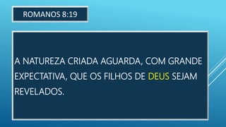 A NATUREZA CRIADA AGUARDA, COM GRANDE
EXPECTATIVA, QUE OS FILHOS DE DEUS SEJAM
REVELADOS.
ROMANOS 8:19
 
