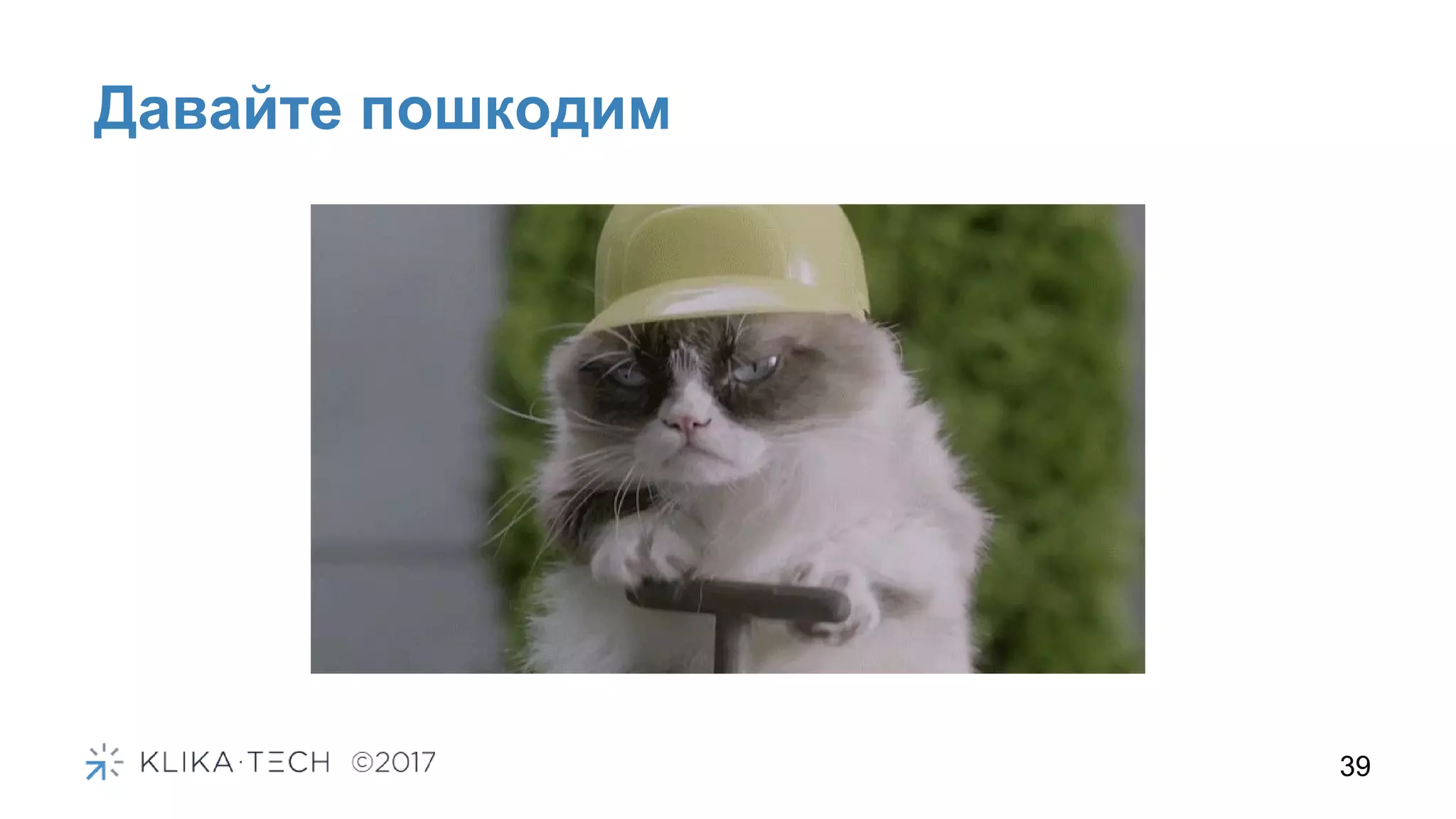 39
Давайте пошкодим
 