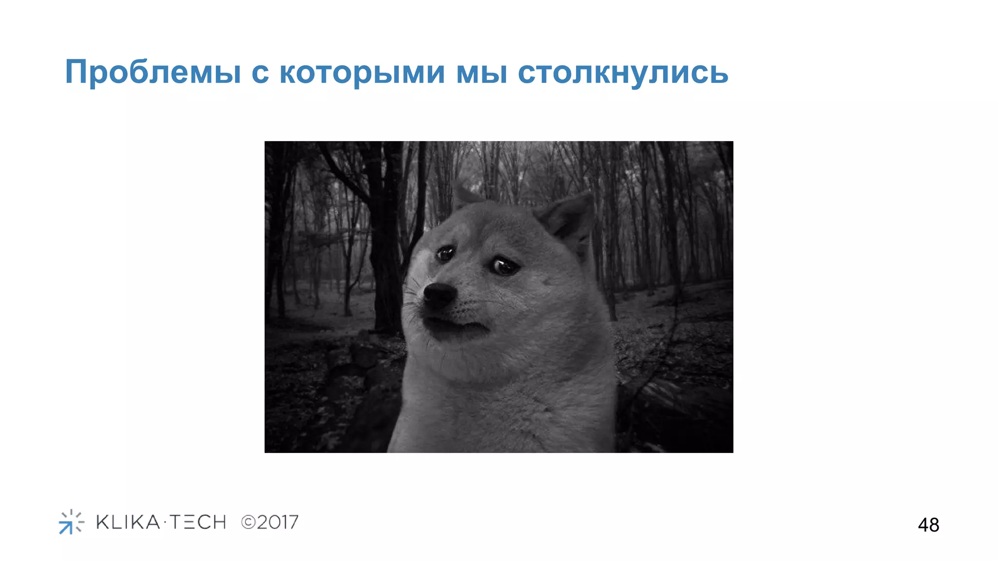 48
Проблемы с которыми мы столкнулись
 