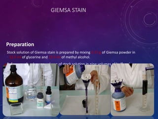 GIEMSA STAIN
Preparation
Stock solution of Giemsa stain is prepared by mixing 0.15 g of Giemsa powder in
12.5 ml of glycerine and 12.5 ml of methyl alcohol.
Before use dissolve one volume of stock solution in nine volumes of buffered
water (dilution 1:9).
 