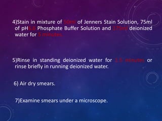 4)Stain in mixture of 50ml of Jenners Stain Solution, 75ml
of pH6.6 Phosphate Buffer Solution and 175ml deionized
water for 5 minutes.
5)Rinse in standing deionized water for 1.5 minutes or
rinse briefly in running deionized water.
6) Air dry smears.
7)Examine smears under a microscope.
 