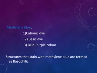 Methylene blue:
1)Cationic dye
2) Basic dye
3) Blue-Purple colour
Structures that stain with methylene blue are termed
as Basophilic.
 