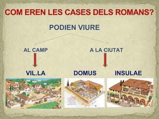 PODIEN VIURE
AL CAMP A LA CIUTAT
VIL.LA DOMUS INSULAE
 