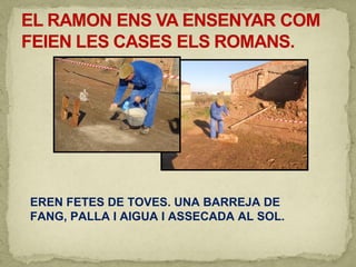 EREN FETES DE TOVES. UNA BARREJA DE
FANG, PALLA I AIGUA I ASSECADA AL SOL.
 