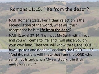 Romans Chapter 11 Replacement Theology The Olive Tree John Piper