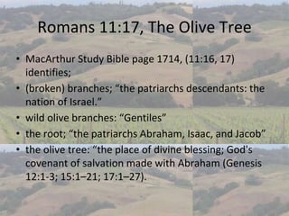 Romans Chapter 11, Replacement Theology, The Olive Tree, John Piper, …