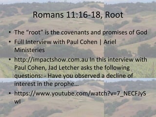 Romans Chapter 11, Replacement Theology, The Olive Tree, John Piper, …