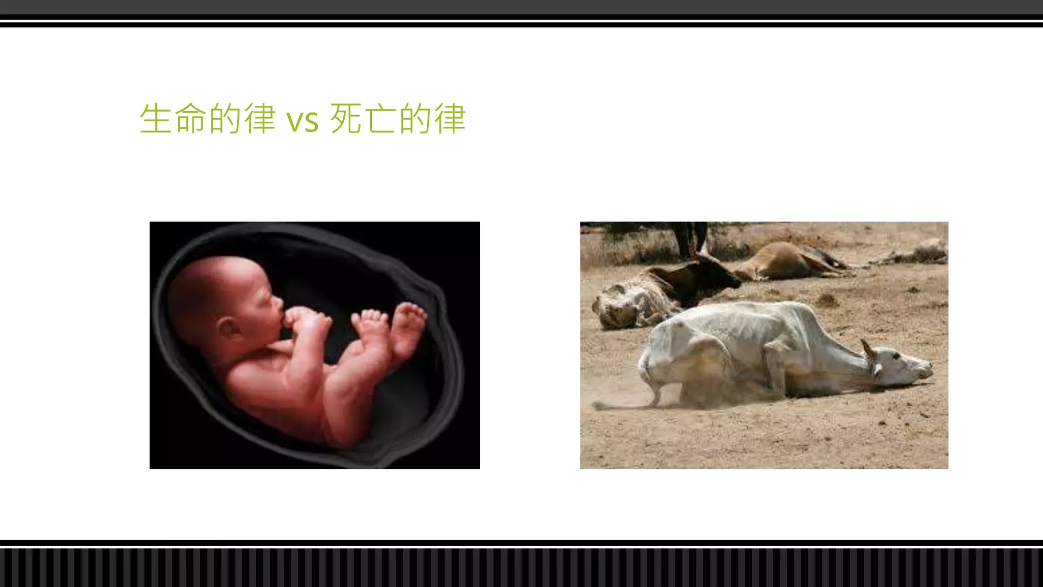 生命的律 vs 死亡的律
 