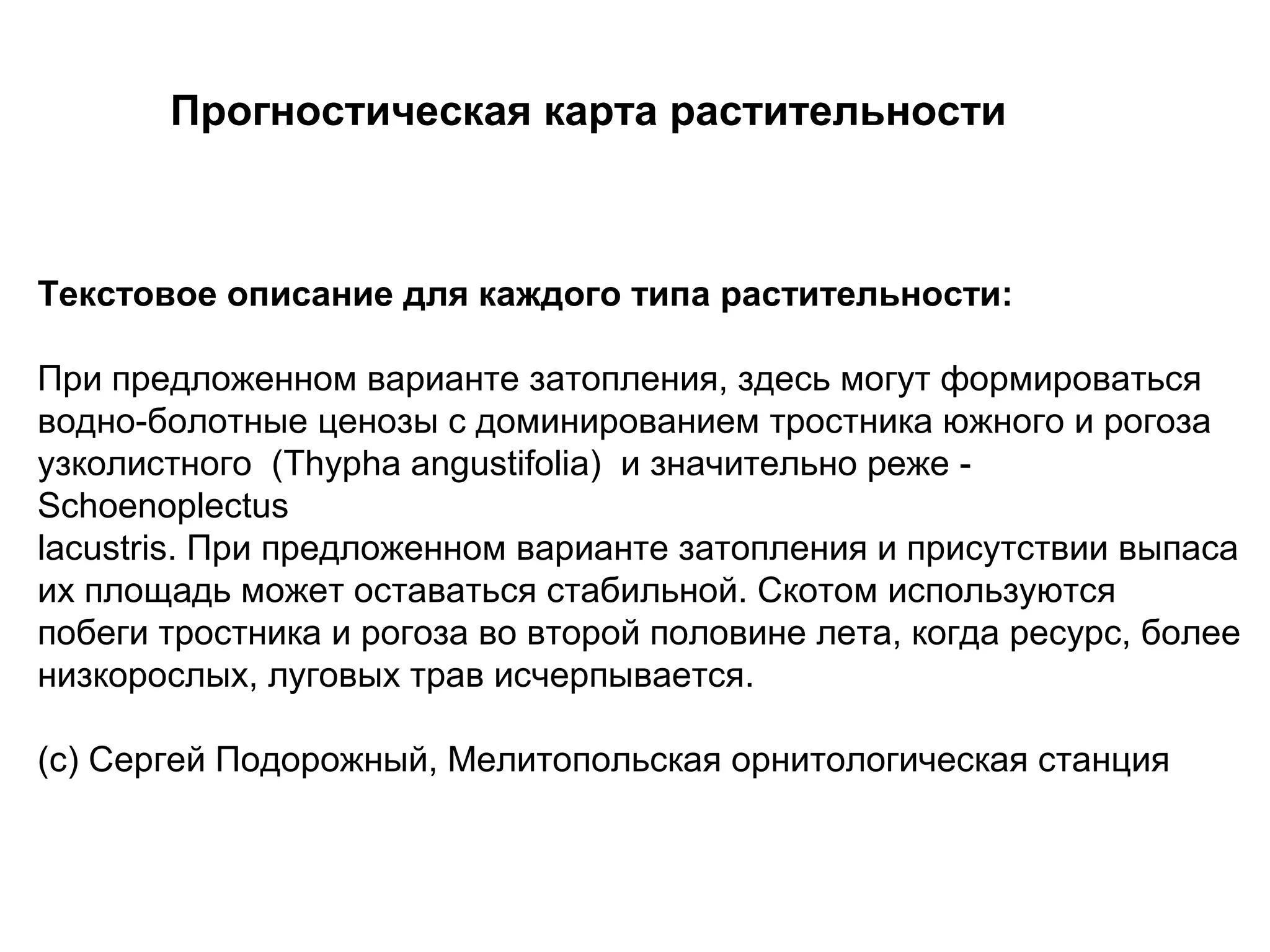 Текстовое описание для каждого типа растительности:
При предложенном варианте затопления, здесь могут формироваться
водно-болотные ценозы с доминированием тростника южного и рогоза
узколистного (Thypha angustifolia) и значительно реже -
Schoenoplectus
lacustris. При предложенном варианте затопления и присутствии выпаса
их площадь может оставаться стабильной. Скотом используются
побеги тростника и рогоза во второй половине лета, когда ресурс, более
низкорослых, луговых трав исчерпывается.
(с) Сергей Подорожный, Мелитопольская орнитологическая станция
Прогностическая карта растительности
 