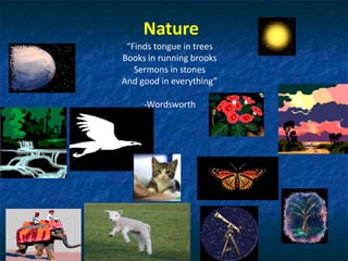 Nature
“Finds tongue in trees
Books in running brooks
Sermons in stones
And good in everything”
-Wordsworth
 