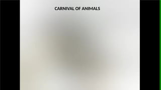 CARNIVAL OF ANIMALS
 