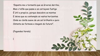 “Espanta-me a tormenta que as árvores derriba,
Mas o tufão que passa e as cerraçoes fustiga
É útil e propício, porque descobre os montes
E deixa que eu contemple os vastos horizontes
Onde ao clarão suave de um sol brilhante e puro
Ostenta-se formosa a imagem do futuro!”.
(Fagundes Varela)
(
 
