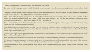 Quando a cavalgata chegou à margem da clareira, aí se passava uma cena curiosa.
Em pé, no meio do espaço que formava a grande abóbada de árvores, encostado a um velho tronco decepado pelo raio, via-se um índio na flor da
idade.
Uma simples túnica de algodão, a que os indígenas chamavam aimará, apertada à cintura por uma faixa de penas escarlates, caía-lhe dos ombros até ao
meio da perna, e desenhava o talhe delgado e esbelto como um junco selvagem.
Sobre a alvura diáfana do algodão, a sua pele, cor do cobre, brilhava com reflexos dourados; os cabelos pretos cortados rentes, a tez lisa, os olhos
grandes com os cantos exteriores erguidos para a fronte; a pupila negra, móbil, cintilante; a boca forte mas bem modelada e guarnecida de dentes
alvos, davam ao rosto pouco oval a beleza inculta da graça, da força e da inteligência.
Tinha a cabeça cingida por uma fita de couro, à qual se prendiam do lado esquerdo duas plumas matizadas, que descrevendo uma longa espiral,
vinham rogar com as pontas negras o pescoço flexível.
Era de alta estatura; tinha as mãos delicadas; a perna ágil e nervosa, ornada com uma axorca de frutos amarelos, apoiava-se sobre um pé pequeno, mas
firme no andar e veloz na corrida. Segurava o arco e as flechas com a mão direita e com a esquerda mantinha verticalmente diante de si um longo
forcado de pau enegrecido pelo fogo.
Perto dele estava atirada ao chão uma clavina tauxiada, uma pequena bolsa de couro que devia conter munições, e uma rica faca flamenga, cujo uso foi
depois proibido em Portugal e no Brasil.
Nesse instante erguia a cabeça e fitava os olhos numa sebe de folhas que se elevava a vinte passos de distancia, e se agitava imperceptivelmente.
Ali por entre a folhagem, distinguiam-se as ondulações felinas de um dorso negro, brilhante, marchetado de pardo; às vezes viam-se brilhar na sombra
dois raios vítreos e pálidos, que semelhavam os reflexos de alguma cristalização de rocha, ferida pela luz do sol.
Era uma onça enorme; de garras apoiadas sobre um grosso ramo de árvore, e pés suspensos no galho superior, encolhia o corpo, preparando o salto
gigantesco...
 