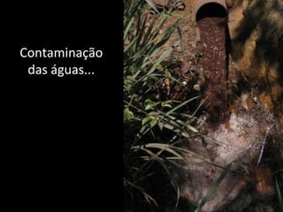Contaminação das águas... 